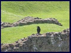 The Tower of London 081